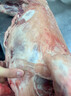 谷开元宁夏滩羊肉 20斤整只全羊礼盒 国产生鲜烤全羊火锅食材  源头直发 实拍图