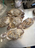 舟山梭子蟹鲜活特大野生大螃蟹新鲜冷冻海鲜水产海蟹飞蟹白蟹顺丰 净重3-4两/只【10只 精品野生】 实拍图
