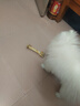 Lanswood 狗零食磨牙棒狗宠物狗狗玩具幼犬耐咬牛骨头泰迪比熊小型犬洁牙 牛棒骨小号14-16cm 1支 实拍图