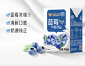 风行牛奶蓝莓风味牛奶饮品 200ml*24盒 风味牛奶量贩装团购 礼盒装送礼 实拍图