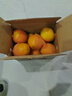 京鲜生 湖北秭归鲜橙净重4.5斤 单果170g+ 生鲜水果 源头直发包邮 实拍图