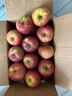 山姆大叔云南昭通丑苹果【多地次日达】冰糖心粉脆甜富士新鲜水果礼盒 【金奖·高原黄金甜】巨无霸｜80mm+ 12枚礼盒装【奢华尊享 | 送礼推荐】 实拍图