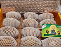 佳沛（zespri）新西兰  阳光金奇异果10粒礼盒巨大果单果约144-175g 水果 猕猴桃 实拍图