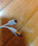 小米 原装USB-C数据线100cm 6A充电线白色 适配USB-C接口手机游戏机充电xiaomi红米redmi/k70 实拍图