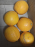 京鲜生 江西赣南脐橙 净重10斤 铂金果 单果180g起 生鲜水果橙子礼盒 实拍图