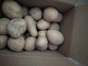 京鲜生恩施小土豆3斤 单果约30-140g新鲜黄心土豆马铃薯 源头直发 实拍图