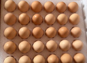 京鲜生可生食标准鲜鸡蛋30枚礼盒装3斤 源头直发 实拍图