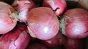 山东特产水果扁洋葱甜瓜口感红皮扁葱头生吃脆甜蘸酱好吃粉嫩 紫皮洋葱大果带箱 2斤 精选 实拍图