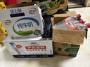 伊利纯牛奶整箱 250ml*24盒 优质乳蛋白 严选牧场 礼盒装 8月底产 实拍图