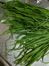 【有机】韭菜250g 实拍图