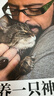 养一只神气猫――猫咪养护及猫行为完全指南   实拍图