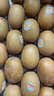 佳沛（zespri）新西兰 新果季 阳光金奇异果33粒原箱单果重约101-114g 猕猴桃 实拍图
