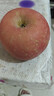京地达烟台栖霞红富士苹果净重4.5斤单果约193g烟台苹果水果源头直发 实拍图