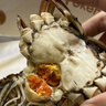 【活蟹】（残蟹）鲜活大闸蟹少腿蟹兴化大闸蟹断腿蟹泰州鲜活螃蟹 公3.9-4.2两 母3-3.3两 5对10只 实拍图