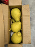 趣觅鲜正宗容县沙田柚产地直发广西特产纯甜无酸老树白肉柚子新鲜水果 12斤净重大果5-6个礼盒装 实拍图