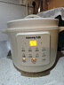 九阳（Joyoung）电炖锅电砂锅电炖盅炖汤盅煲汤锅多功能锅高温瓷燕窝炖盅煮粥神器熬粥专用锅3L大容量DG30K-GD316 实拍图