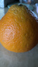 壹棵弘芯正宗现摘丑八怪柑橘子新鲜水果当季酸甜口橘子生鲜整箱 水果X颜色随机 实拍图