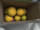 京鲜生 云南哀牢山冰糖橙/橙子 净重9斤 单果170-260g 生鲜水果礼盒 实拍图
