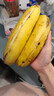 高山香蕉广西产地直发薄皮青果软糯香甜自然熟当季新鲜采摘纯天然 高山香蕉1斤 实拍图