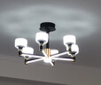 雷士（NVC）吊灯美式轻奢水晶客厅大灯LED智能卧室灯 灯具套餐厅灯饰全屋 【4室2厅】10+6头客厅+卧室 实拍图