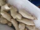 山东新鲜大姜超市生鲜蔬菜老姜即食水果生姜水洗净姜 山东大姜250g 实拍图