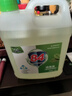 【消毒杀菌】好宜佳84消毒液大桶装酒店餐厅宿舍家用漂白消毒除菌 五斤装（家庭装） 实拍图