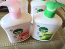 滴露（Dettol）洗手液抑菌滋润450g*2+松木450g*2儿童家庭补充装消毒温和护手 实拍图