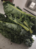 羽衣甘蓝新鲜生鲜蔬菜嫩叶甘兰芥蓝西餐沙拉榨汁减肥减脂 羽衣甘蓝减脂尝鲜装1斤 实拍图