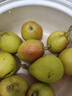 京鲜生新疆库尔勒香梨5斤装 全母梨 单果100-120g 源头直发 包邮 实拍图
