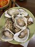 贝司令 鲜活乳山生态生蚝3XL 净重4斤 10-15只 生鲜源头直发 实拍图