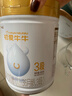 蒙牛（MENGNIU）初爱牛牛幼儿配方奶粉3段 12-36个月龄三段800g 实拍图
