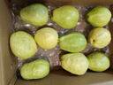 京觅福建芭乐 白心芭乐 土番石榴单果150g 4.5斤装 实拍图