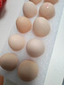 京鲜生鲜鸡蛋10枚/盒 健康轻食 营养健康1斤/盒 源头直发  实拍图