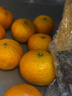 京觅 广西金秋砂糖橘净重4斤 单果40-50mm 精品果沙糖桔 源头直发包邮 实拍图