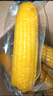 京鲜生 东北黄玉米净重3.6斤 8根*220g+ 真空包装加热即食 源头直发 实拍图