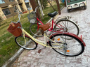凤凰（Phoenix）自行车成人男女通用城市通勤青少年单车女芭蕾 26英寸米黄色 实拍图