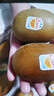 佳沛（zespri）新西兰  阳光金奇异果10粒礼盒巨大果单果约144-175g 水果 猕猴桃 实拍图