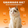 普安特猫咪狗狗宠物复合维生素片维生素b皮肤病视力衰退掉毛美毛金维葆 实拍图