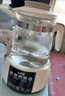 小壮熊 恒温壶 婴儿恒温水壶 调奶器 烧水壶热暖奶器冲奶粉电热水壶316L 实拍图