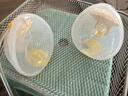 美德乐（Medela）吸奶器电动可穿戴式变频一体支持蓝牙小程序双边吸奶器享韵免手扶 实拍图