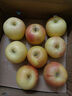 辽宁本地头茬嘎啦苹果脆甜新鲜 带箱约2斤，净果1.7斤 实拍图