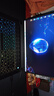 Alienware外星人笔记本电脑二手高端电竞游戏本M15 M17 X14 X15 X17大屏吃鸡 特价：M15R6/i7/16/1T/3060 9成新 实拍图