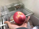 京鲜生 烟台红富士苹果 净重8斤  单果230g起 水果礼盒 实拍图