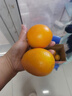 译优农正宗江西赣南脐橙赣州橙子新鲜当季孕妇水果手剥橙甜橙纽荷尔香橙 精品5斤大果【精选品质】净重4.5斤+ 实拍图
