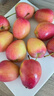映棠 东北鸡心果5斤【顺丰快递—多地次日达】海棠果玫瑰小苹果礼盒装 3斤大果【人工精选】 现摘现发 实拍图