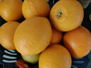 京鲜生 南非进口橙子8斤装 单果约180g起 新鲜水果礼盒 实拍图