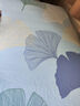 艾薇 A类纯棉床笠单件床罩床垫套全棉床垫保护套 银杏叶 适用1.5m床 实拍图