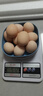 大码鸡蛋50g正负5g/枚散养土鸡蛋新鲜鸡蛋溏心蛋早餐必备京东包邮 10枚土鸡蛋50g 实拍图