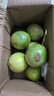 鲜青录广西黄金百香果钦蜜9号新鲜水果黄色白香果西番莲鸡蛋果 1斤霸王果（单果90g+） 实拍图