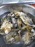 贝司令 鲜活乳山生态生蚝2XL 净重4斤 13-17只 生鲜源头直发 实拍图